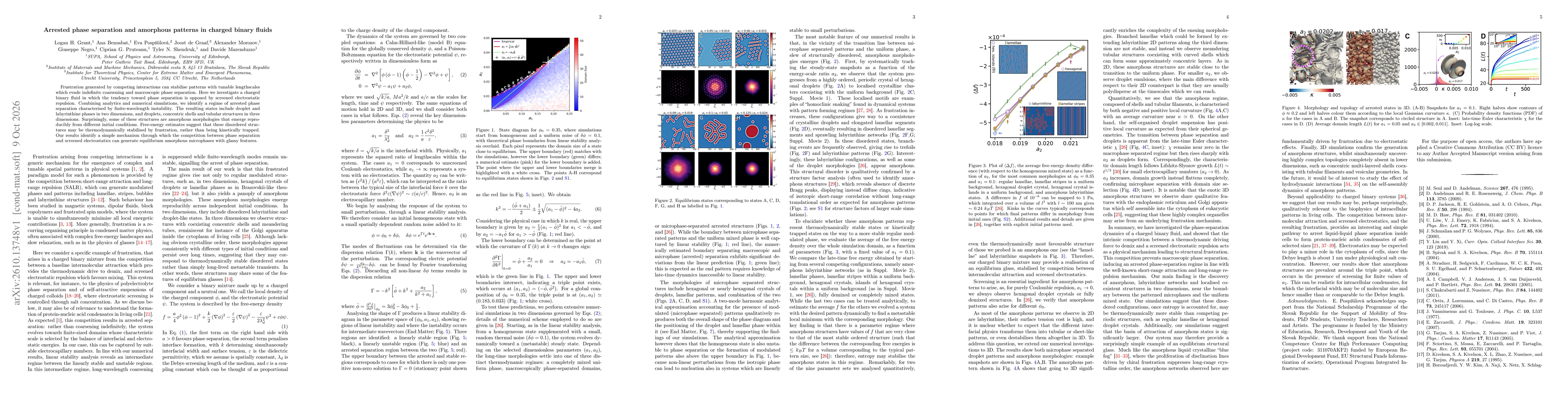 Thumbnail for Arrested phase separation and amorphous patterns in charged binary fluids