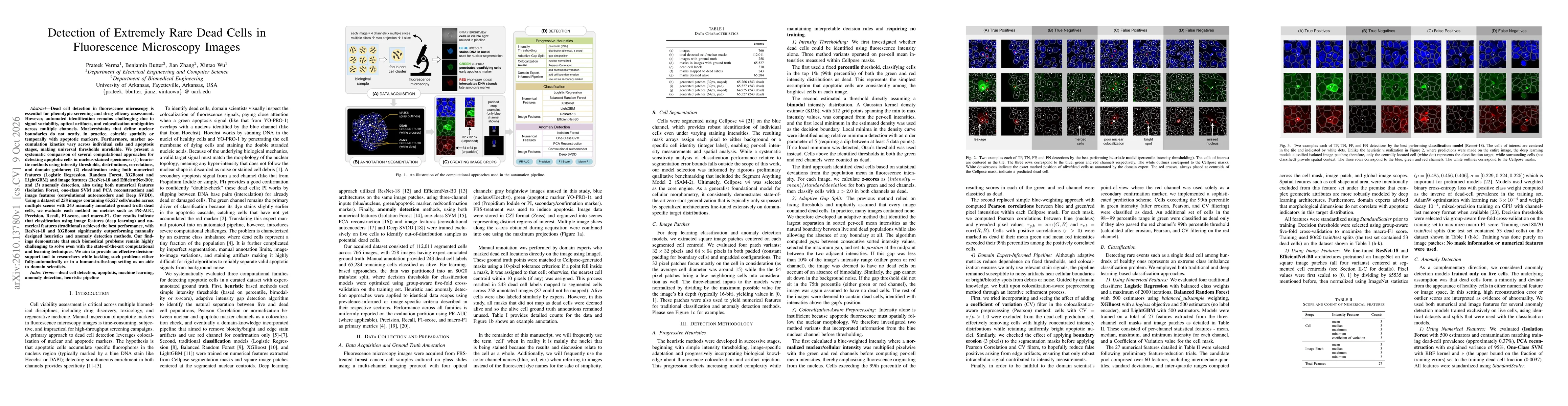 Thumbnail for Detection of extremely rare dead cells in fluorescence microscopy images