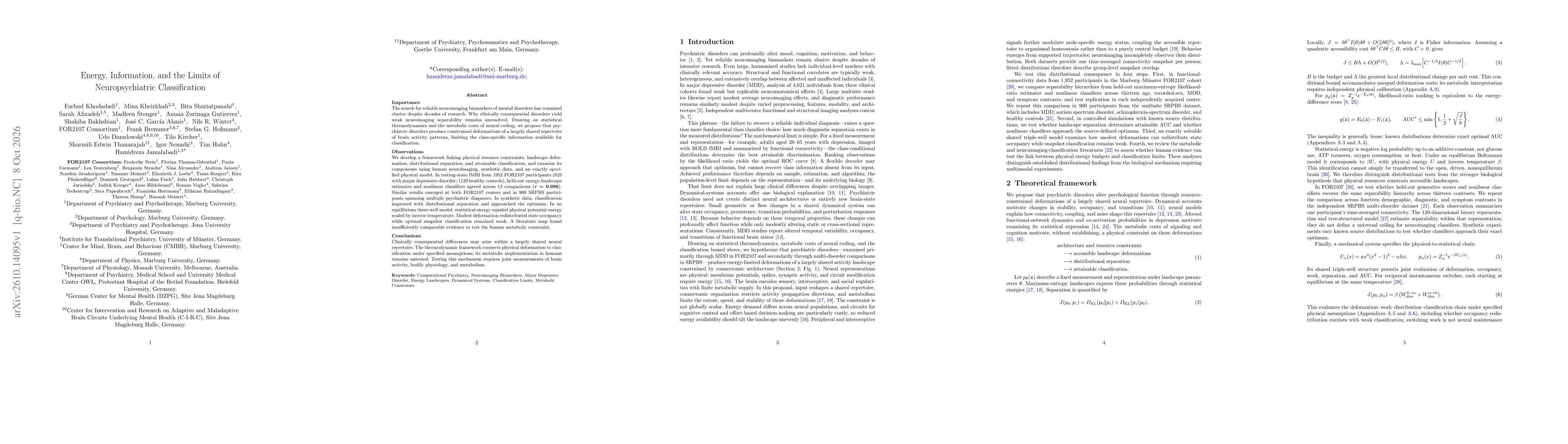 Thumbnail for Energy, Information, and the Limits of Neuropsychiatric Classification