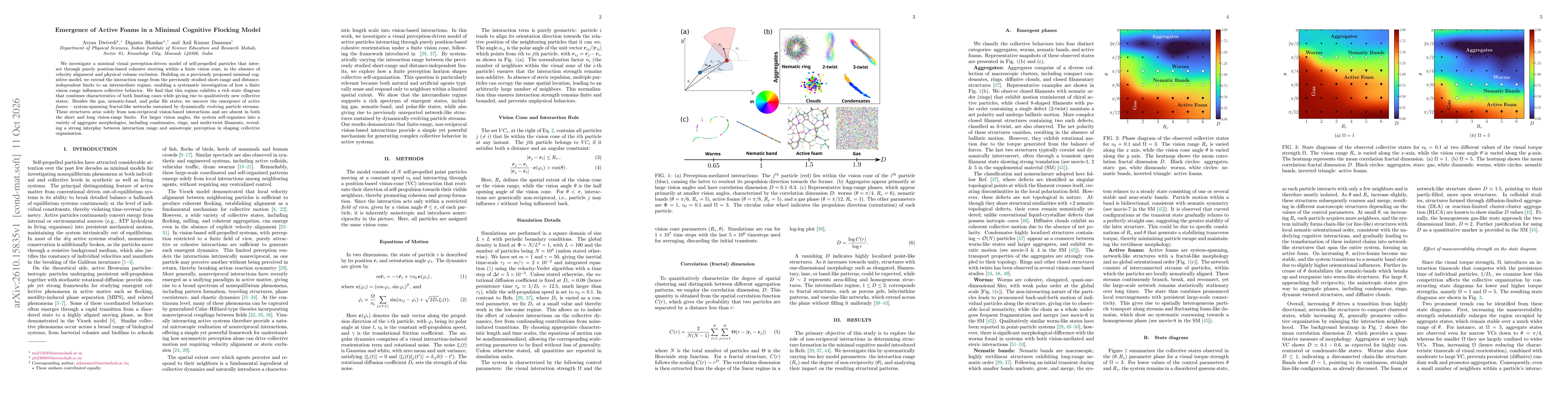 Thumbnail for Emergence of Active Foams in a Minimal Cognitive Flocking Model