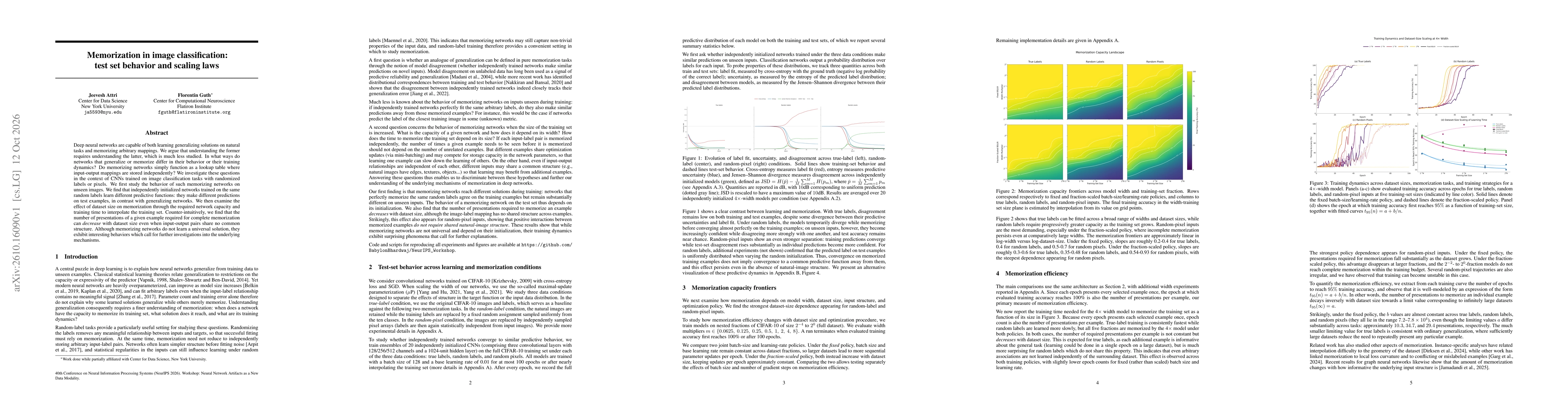 Thumbnail for Memorization in image classification: test set behavior and scaling laws