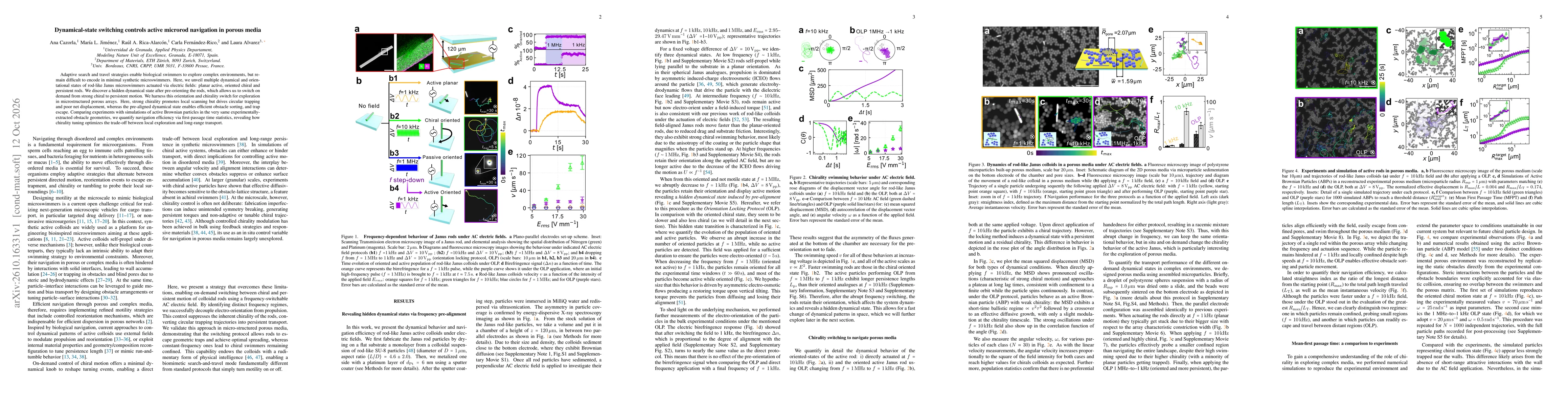 Thumbnail for Dynamical-state switching controls active microrod navigation in porous media