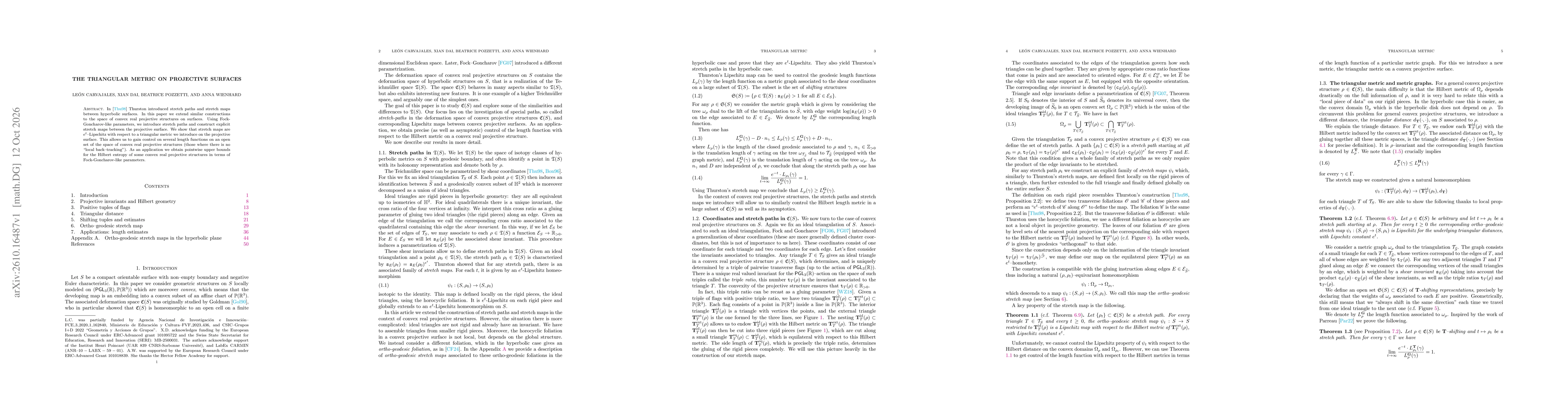 Thumbnail for The triangular metric on projective surfaces