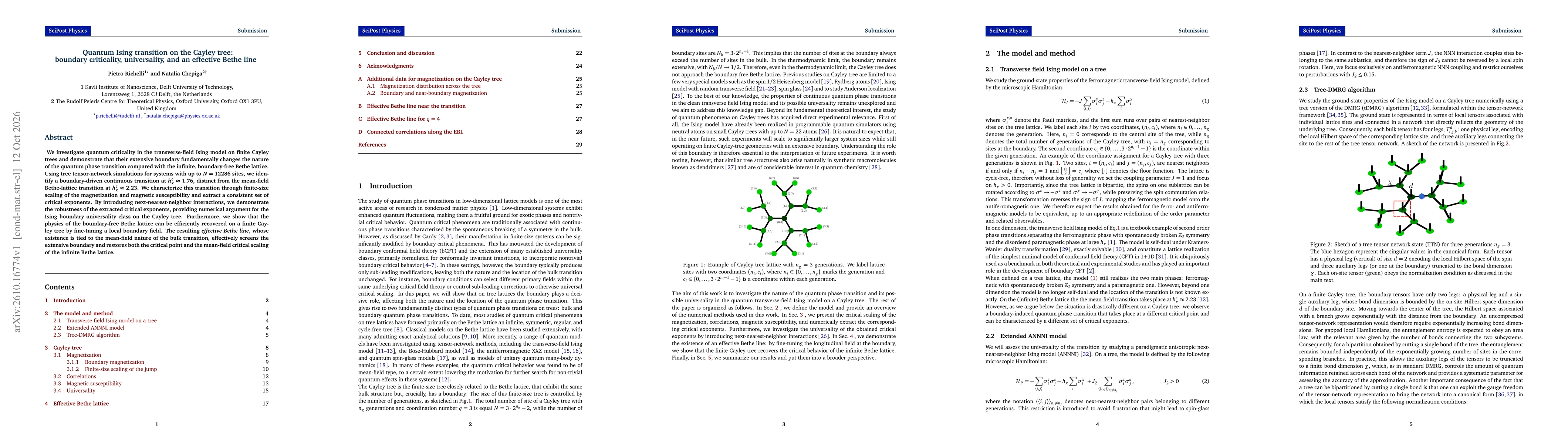 Thumbnail for Quantum Ising transition on the Cayley tree: boundary criticality, universality, and an effective Bethe line