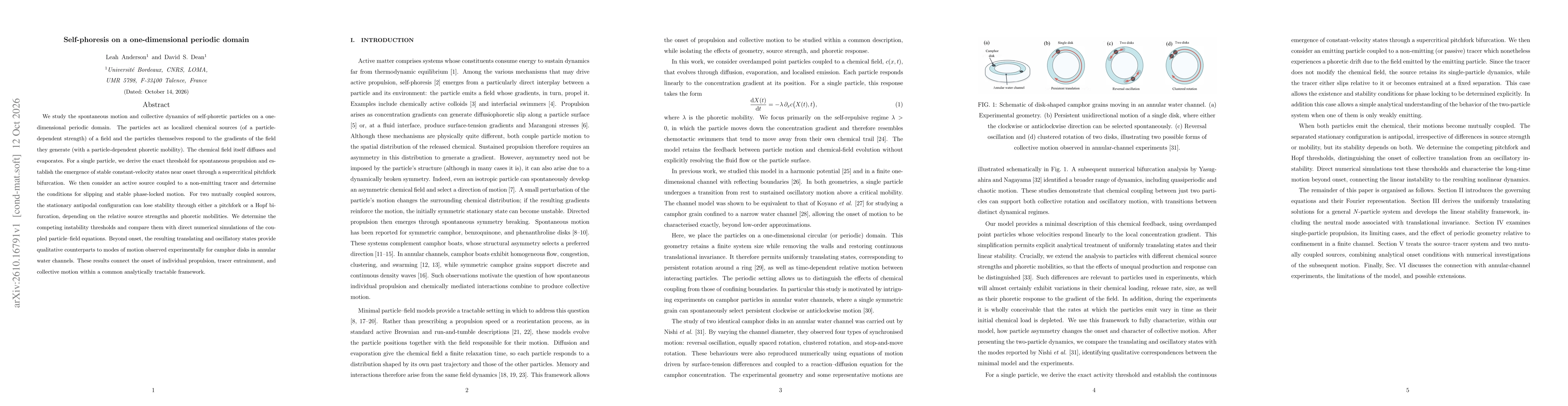 Thumbnail for Self-phoresis on a one-dimensional periodic domain