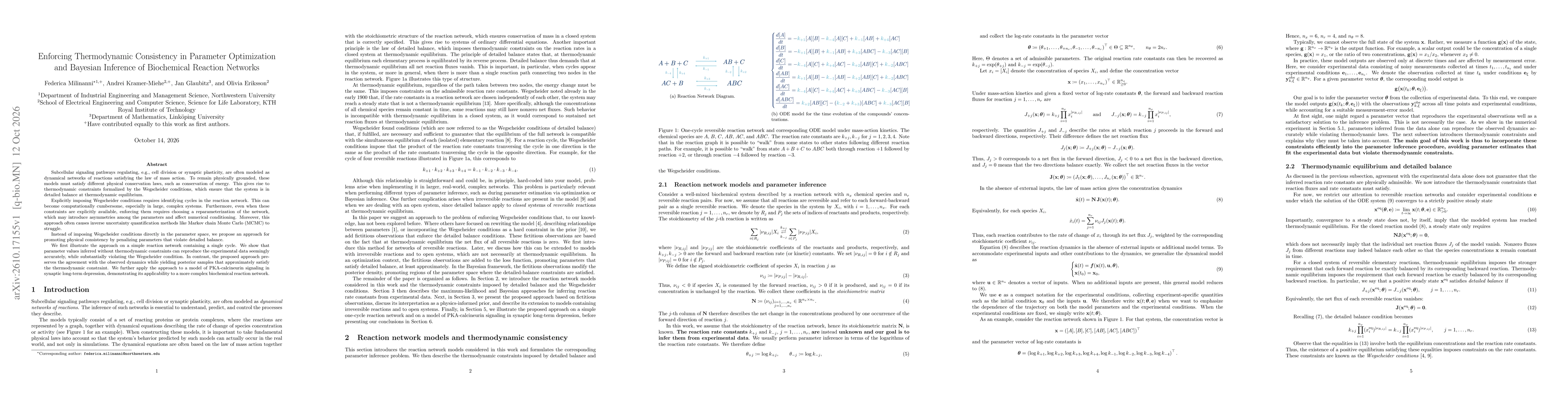 Thumbnail for Enforcing Thermodynamic Consistency in Parameter Optimization and Bayesian Inference of Biochemical Reaction Networks