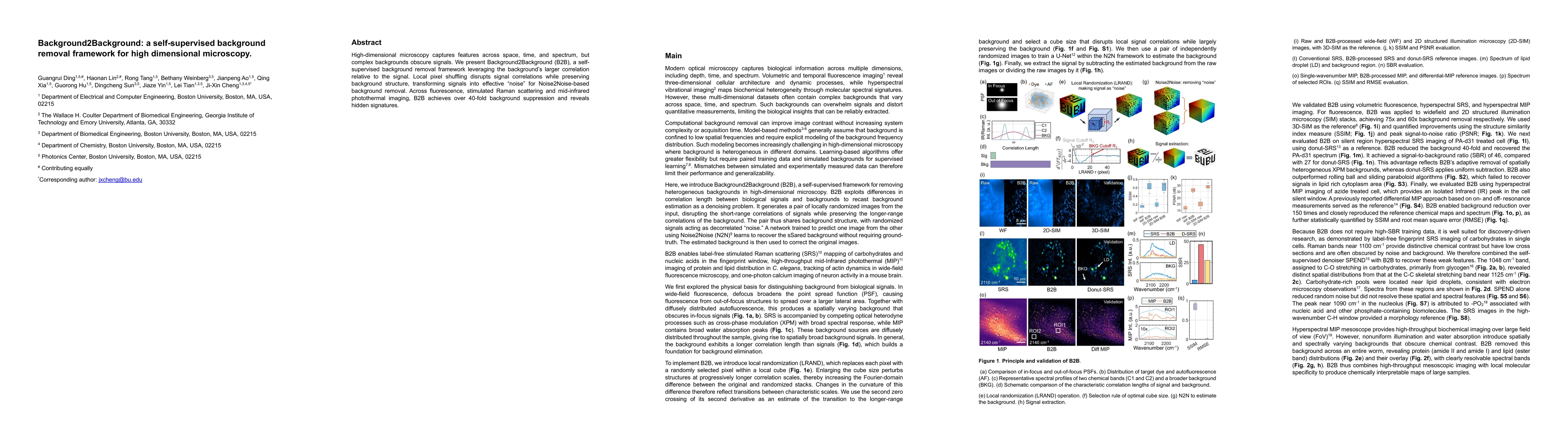 Thumbnail for Background2Background: a self-supervised background removal framework for high dimensional microscopy