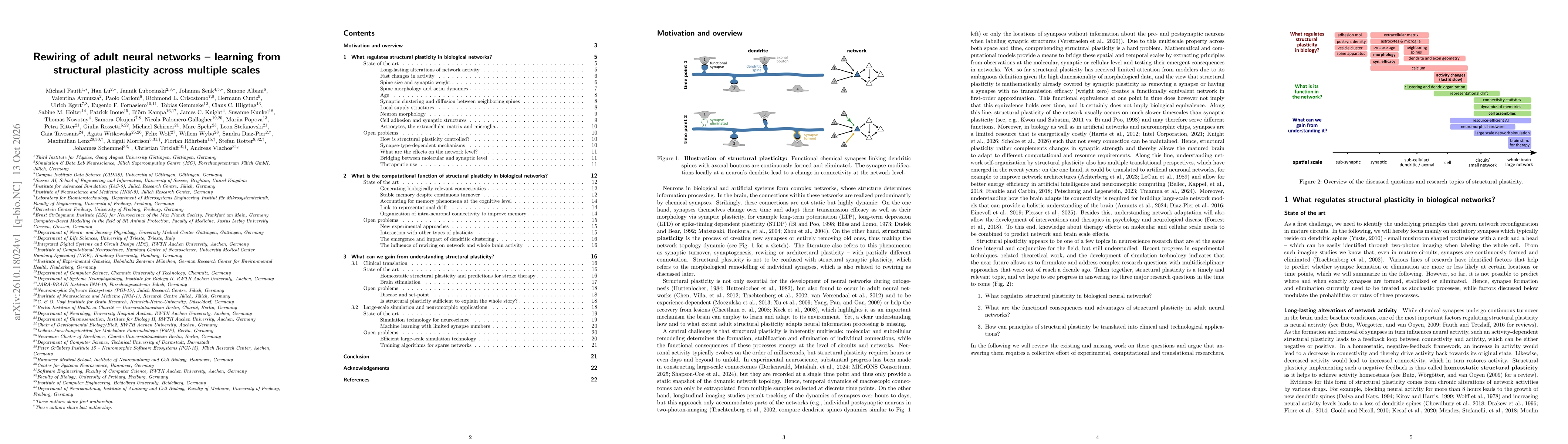 Thumbnail for Rewiring of adult neural networks - learning from structural plasticity across multiple scales