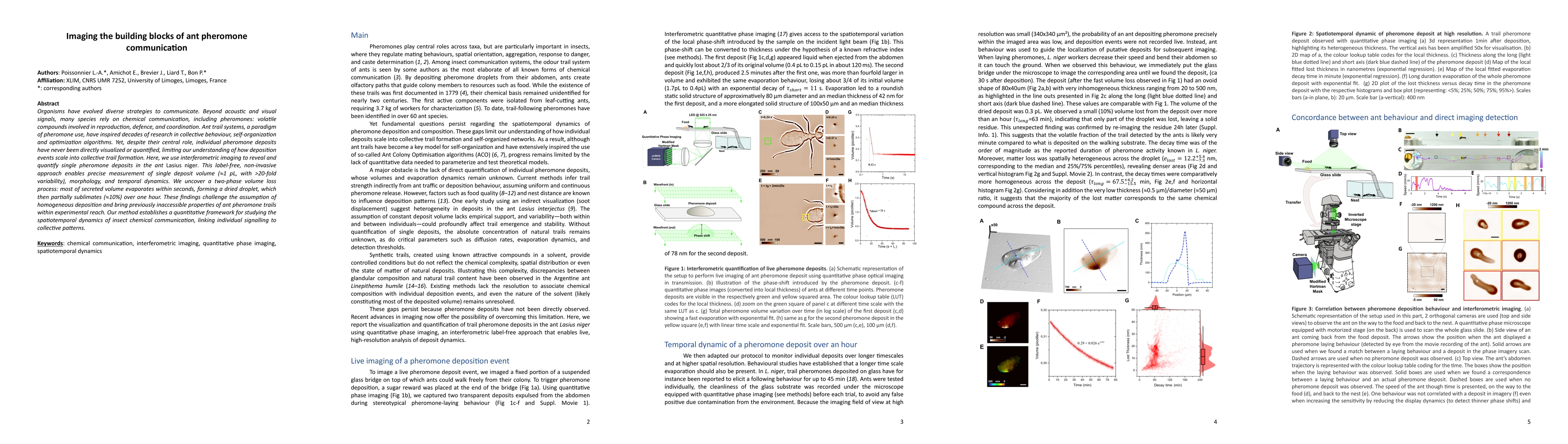 Thumbnail for Imaging the building blocks of ant pheromone communication