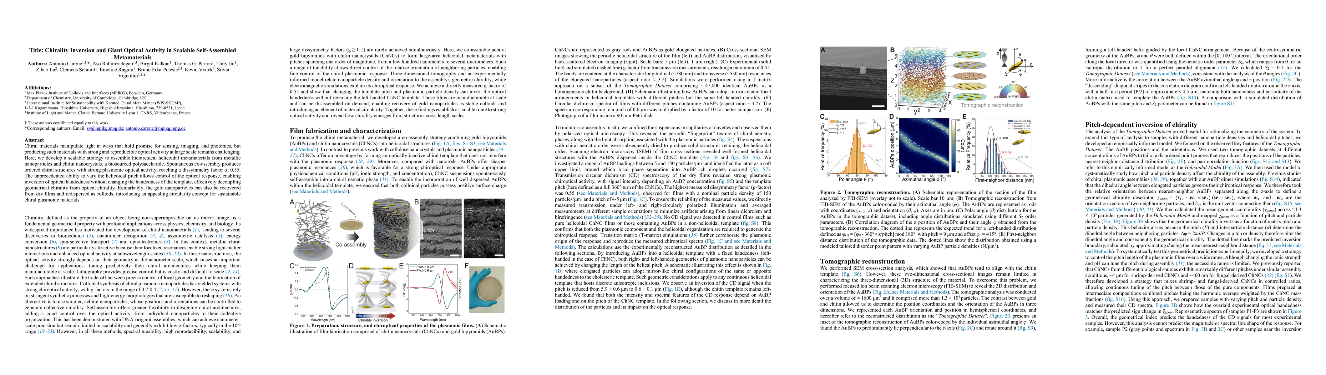 Thumbnail for Chirality Inversion and Giant Optical Activity in Scalable Self-Assembled Metamaterials