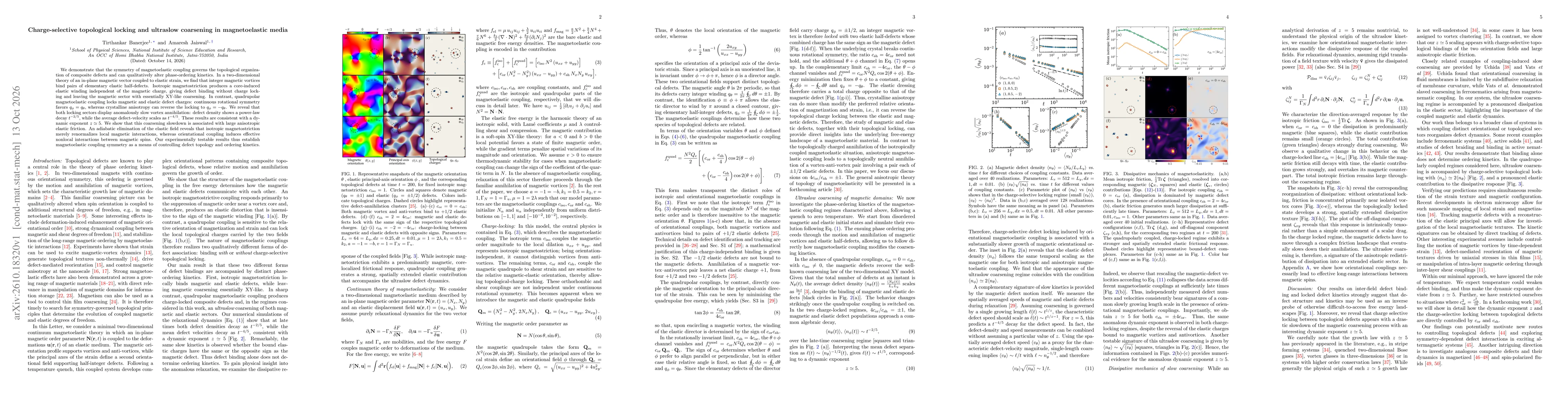 Thumbnail for Charge-selective topological locking and ultraslow coarsening in magnetoelastic media