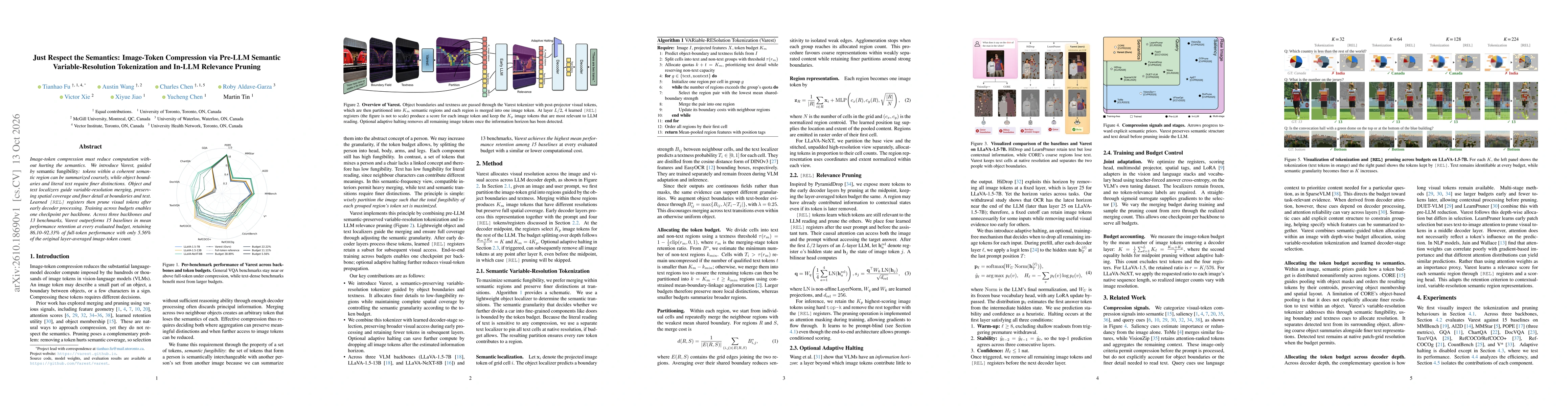Thumbnail for Just Respect the Semantics: Image-Token Compression via Pre-LLM Semantic Variable-Resolution Tokenization and In-LLM Relevance Pruning