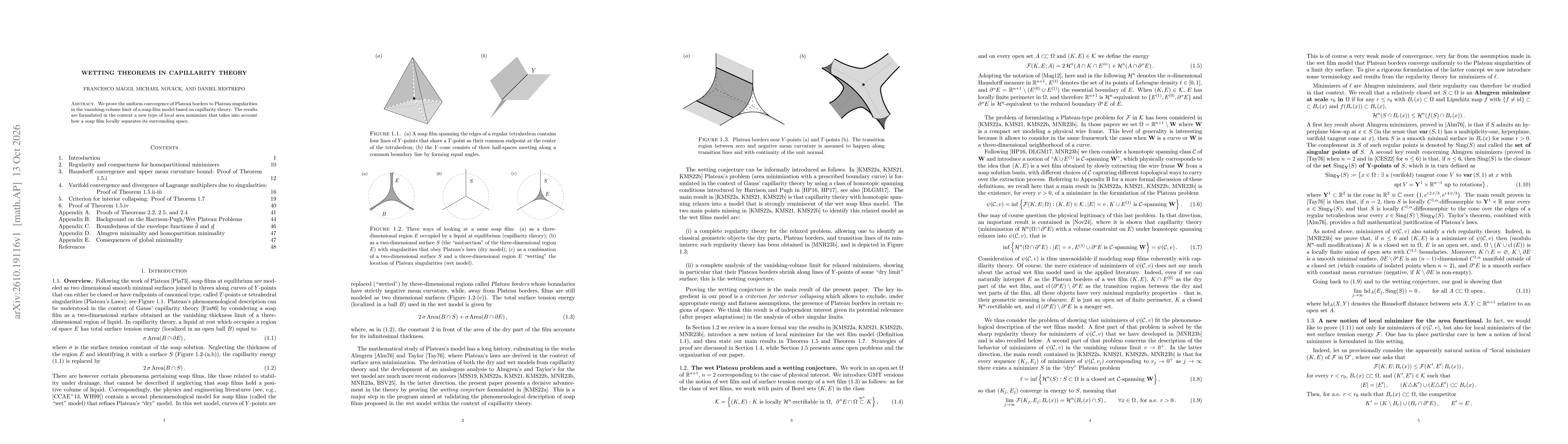Thumbnail for Wetting theorems in capillarity theory