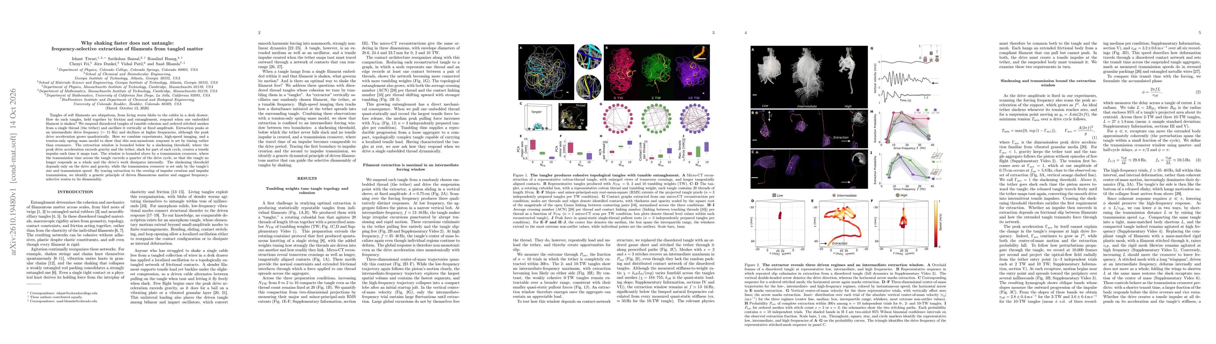 Thumbnail for Why shaking faster does not untangle: frequency-selective extraction of filaments from tangled matter