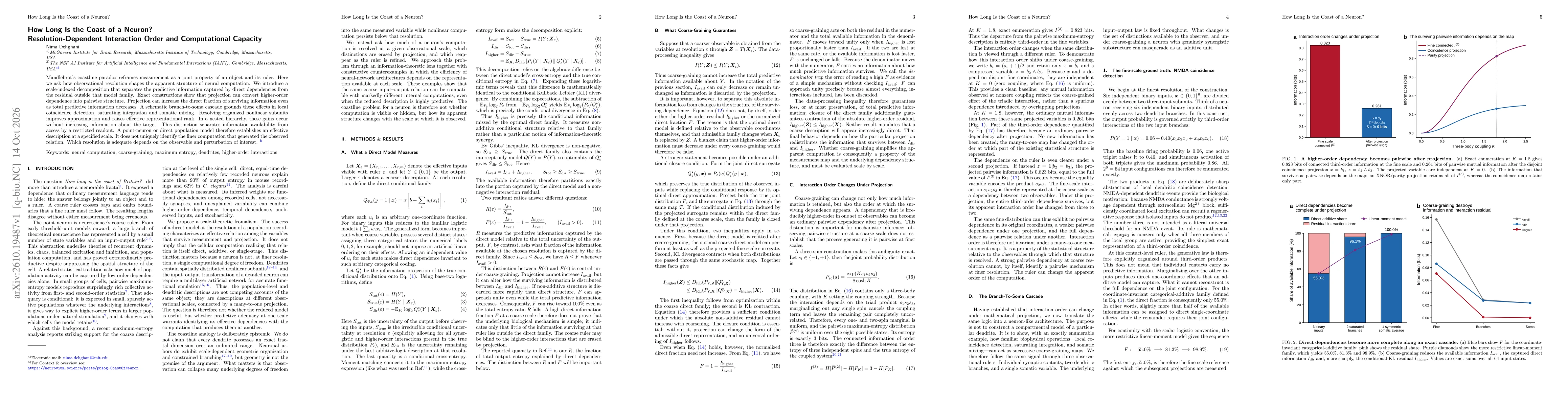 Thumbnail for How Long Is the Coast of a Neuron? Resolution-Dependent Interaction Order and Computational Capacity