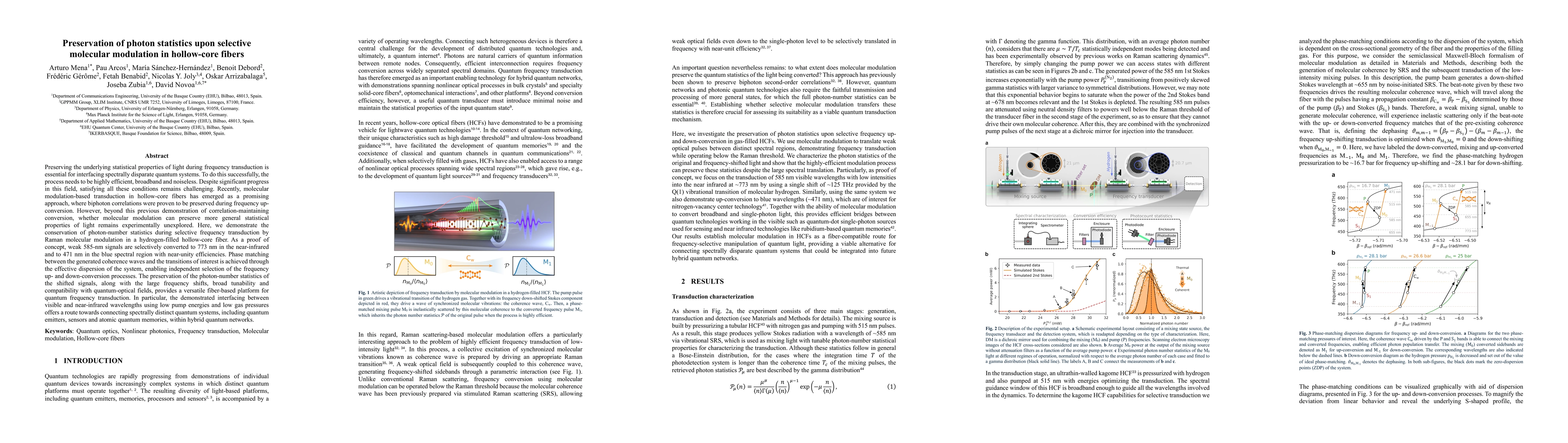 Thumbnail for Preservation of photon statistics upon selective molecular modulation in hollow-core fibers