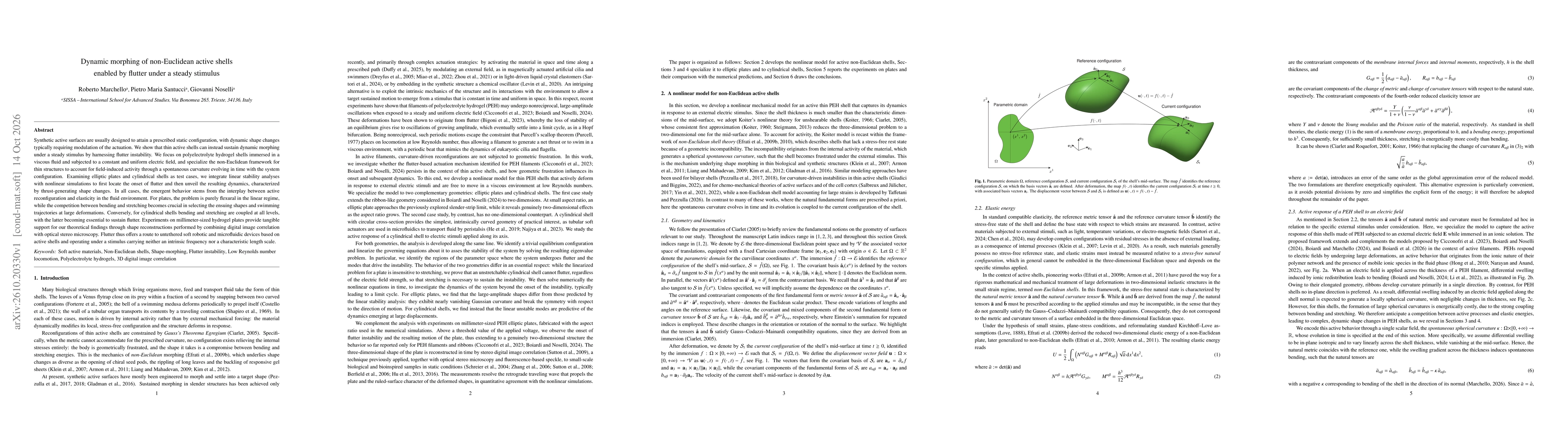 Thumbnail for Dynamic morphing of non-Euclidean active shells enabled by flutter under a steady stimulus