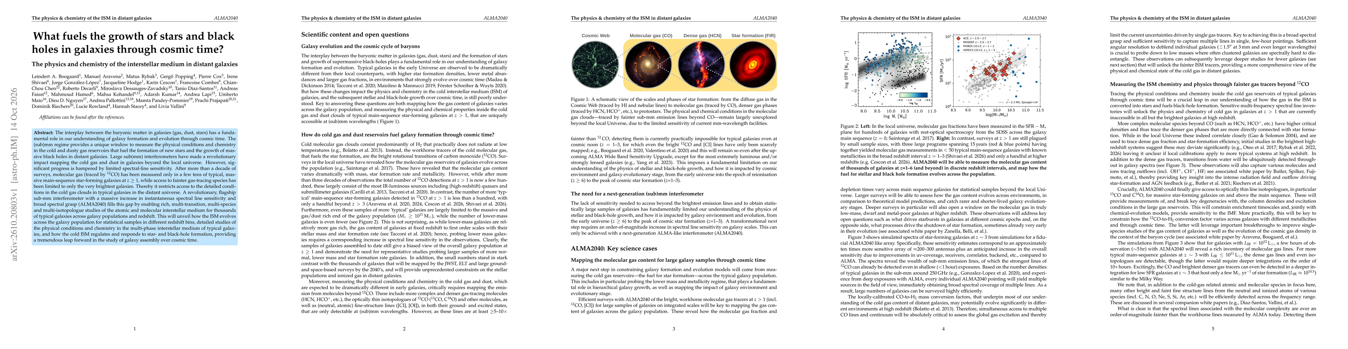Thumbnail for What fuels the growth of stars and black holes in galaxies through cosmic time? The physics and chemistry of the interstellar medium in distant galaxies