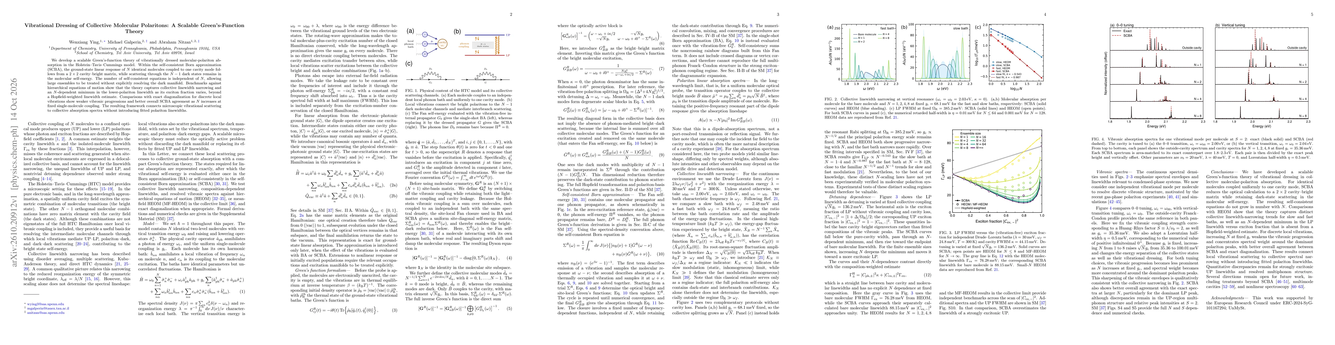 Thumbnail for Vibrational Dressing of Collective Molecular Polaritons: A Scalable Green's-Function Theory