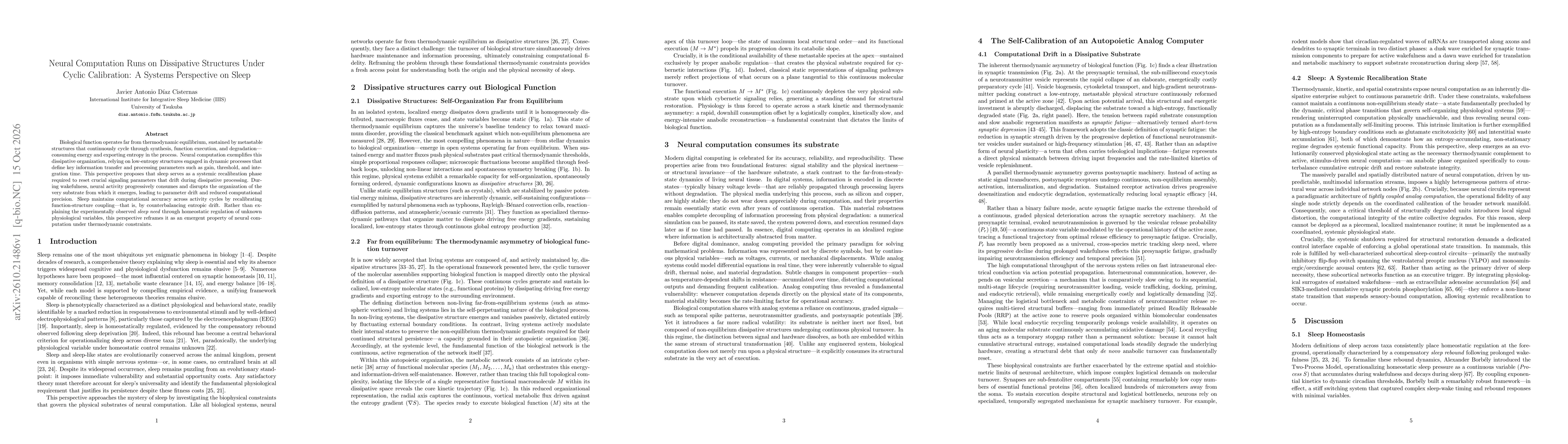 Thumbnail for Neural Computation Runs on Dissipative Structures Under Cyclic Calibration: A Systems Perspective on Sleep