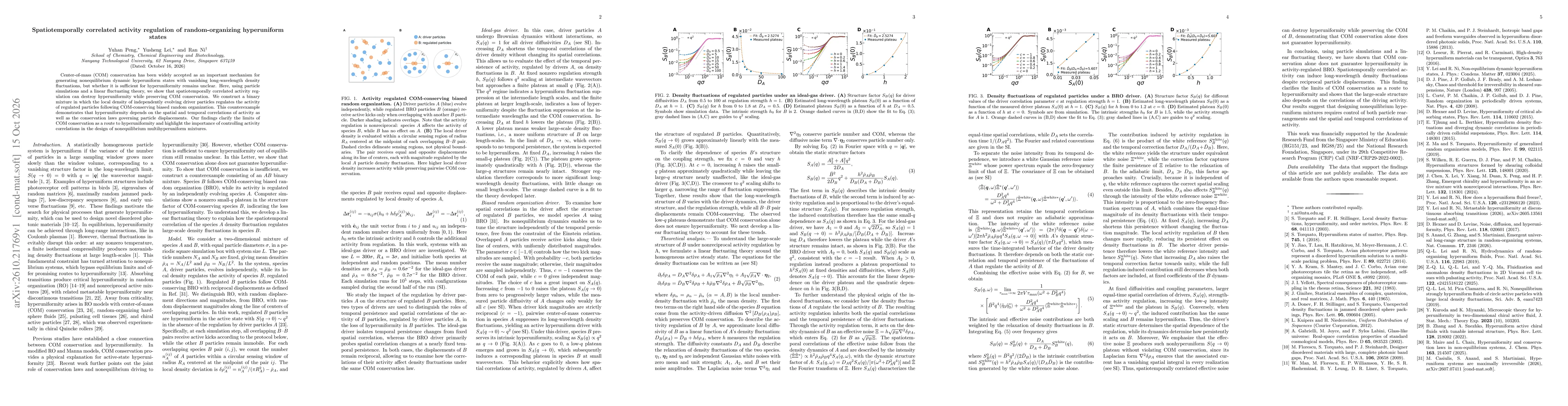 Thumbnail for Spatiotemporally correlated activity regulation of random-organizing hyperuniform states