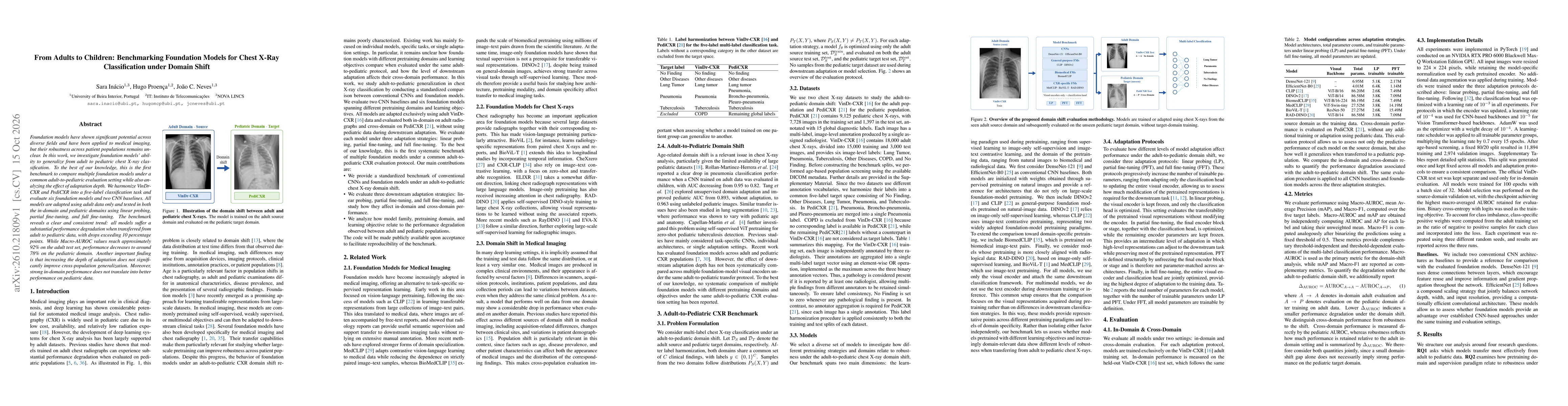 Thumbnail for From Adults to Children: Benchmarking Foundation Models for Chest X-Ray Classification under Domain Shift