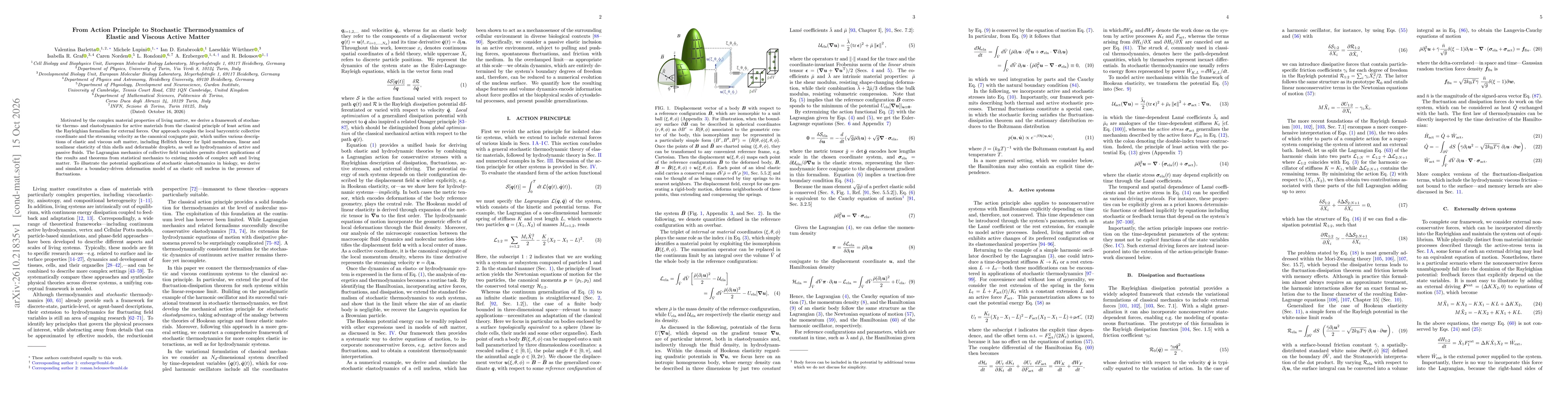 Thumbnail for From Action Principle to Stochastic Thermodynamics of Elastic and Viscous Active Matter