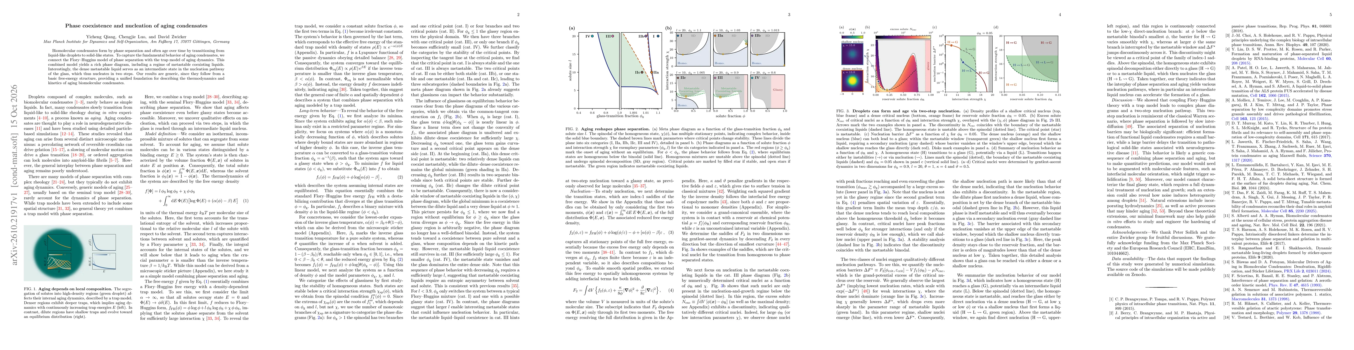 Thumbnail for Phase coexistence and nucleation of aging condensates