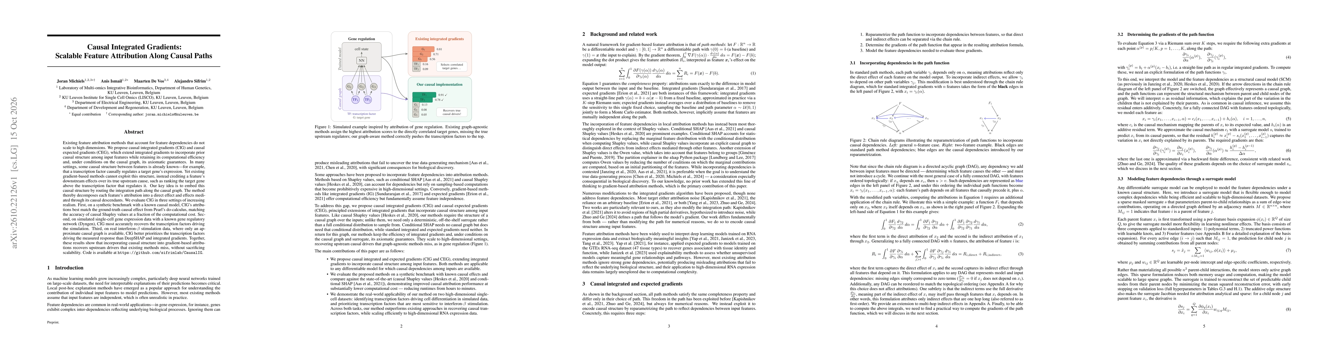 Thumbnail for Causal Integrated Gradients: Scalable Feature Attribution Along Causal Paths