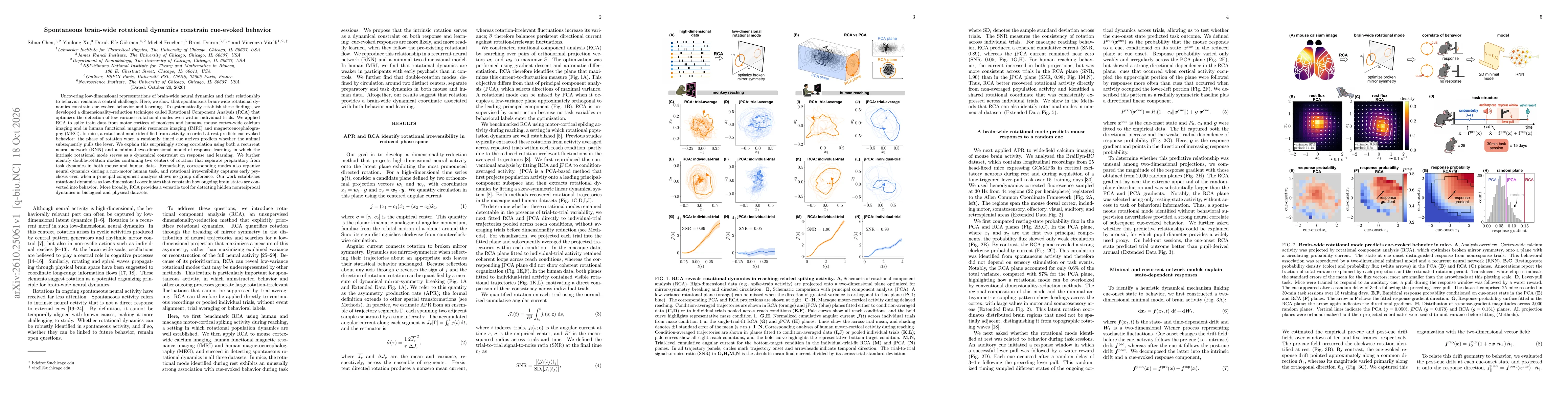 Thumbnail for Spontaneous brain-wide rotational dynamics constrain cue-evoked behavior