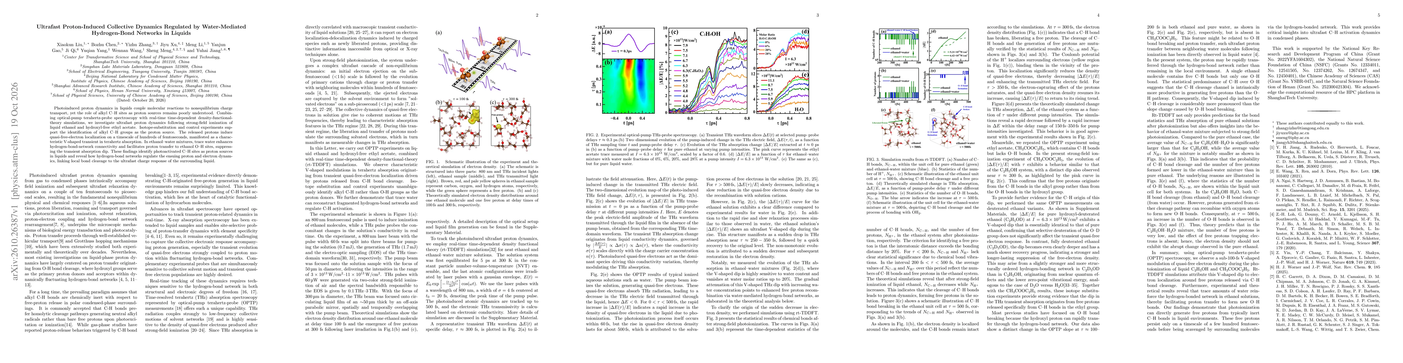 Thumbnail for Ultrafast Proton-Induced Collective Dynamics Regulated by Water-Mediated Hydrogen-Bond Networks in Liquids