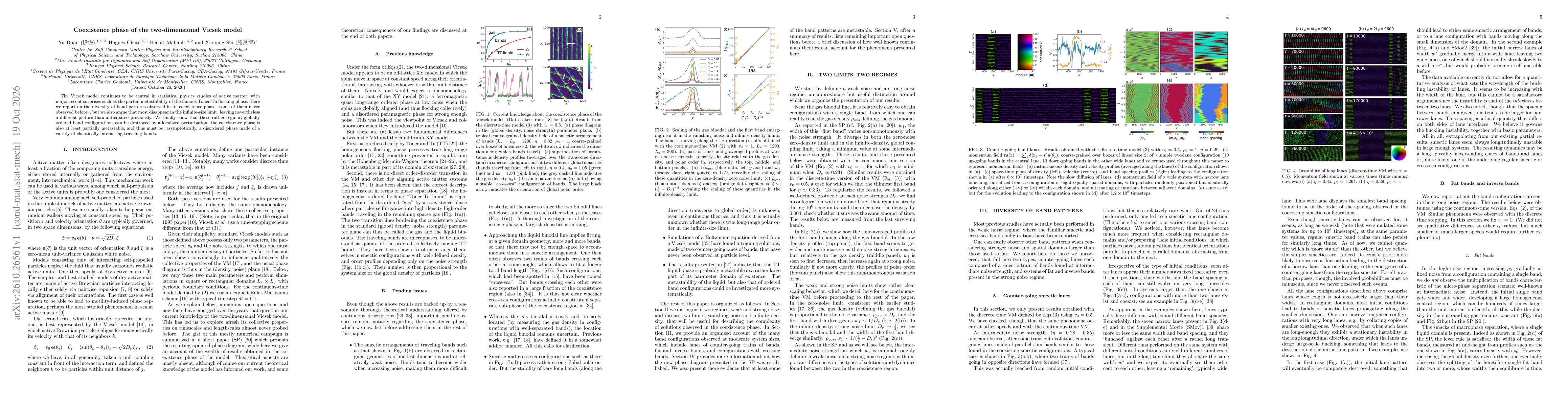 Thumbnail for Coexistence phase of the two-dimensional Vicsek model