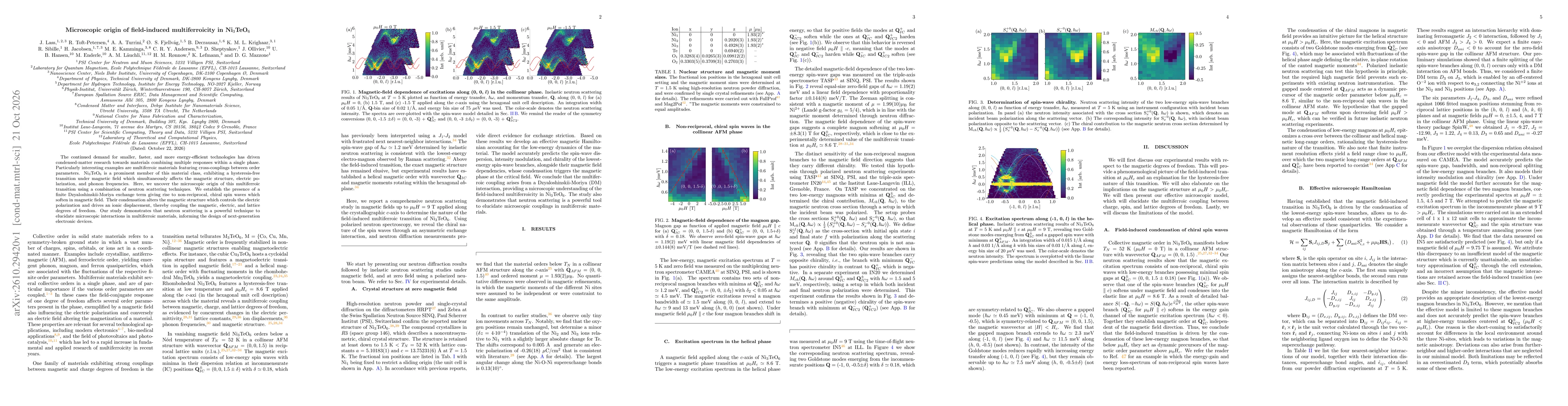 Thumbnail for Microscopic origin of field-induced multiferroicity in Ni3TeO6