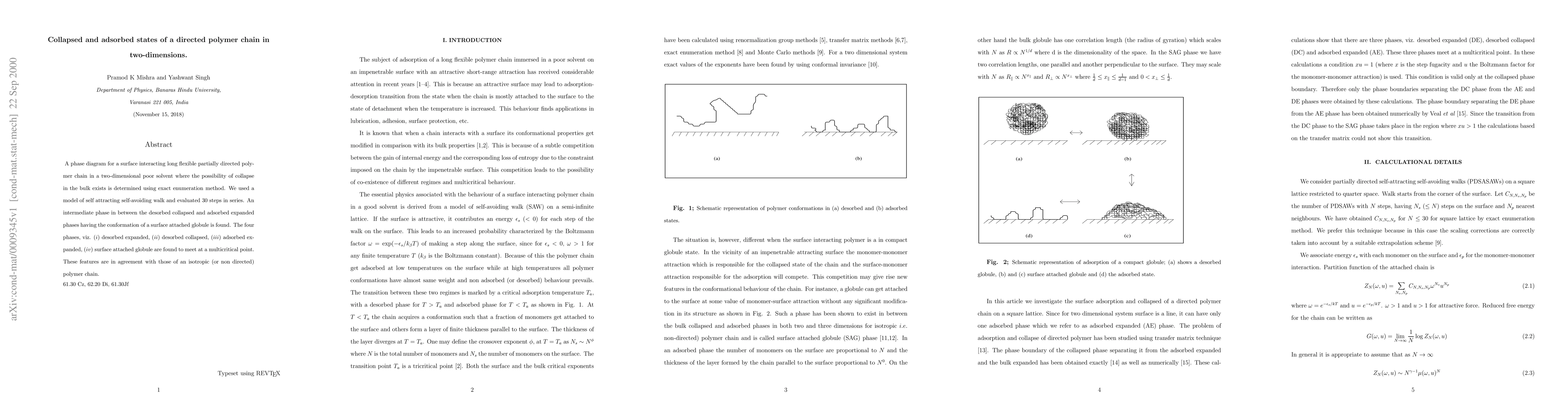 Thumbnail for Collapsed and adsorbed states of a directed polymer chain in
  two-dimensions