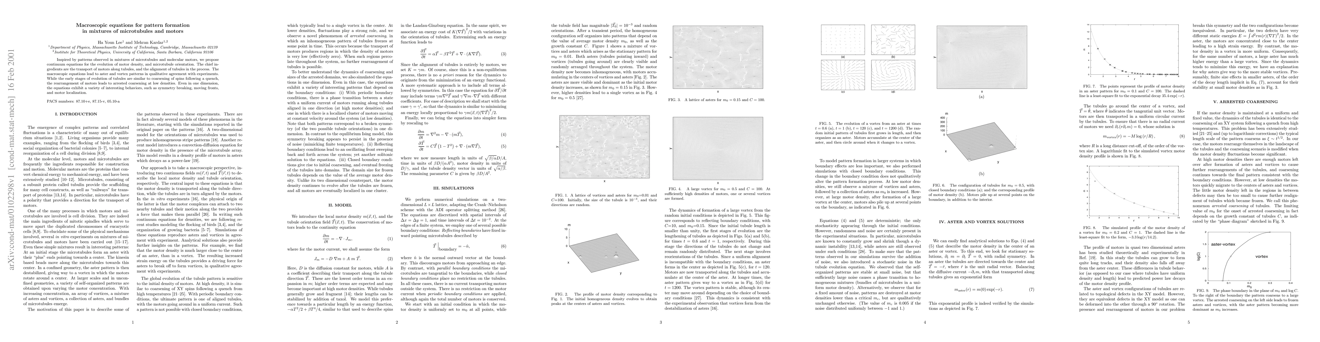 Thumbnail for Macroscopic equations for pattern formation in mixtures of microtubules
  and motors