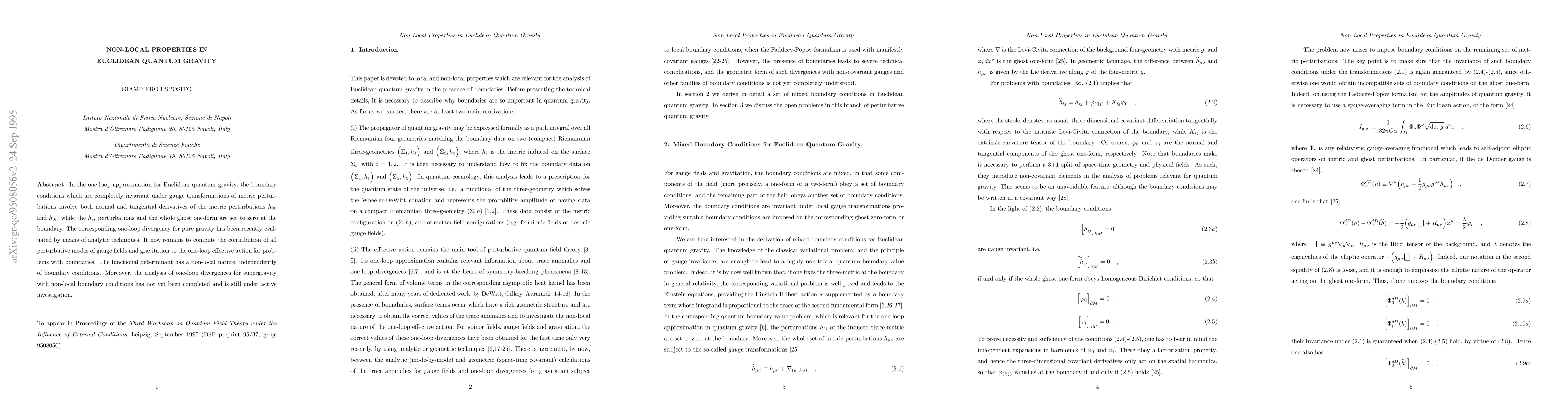 Thumbnail for Non-Local Properties in Euclidean Quantum Gravity