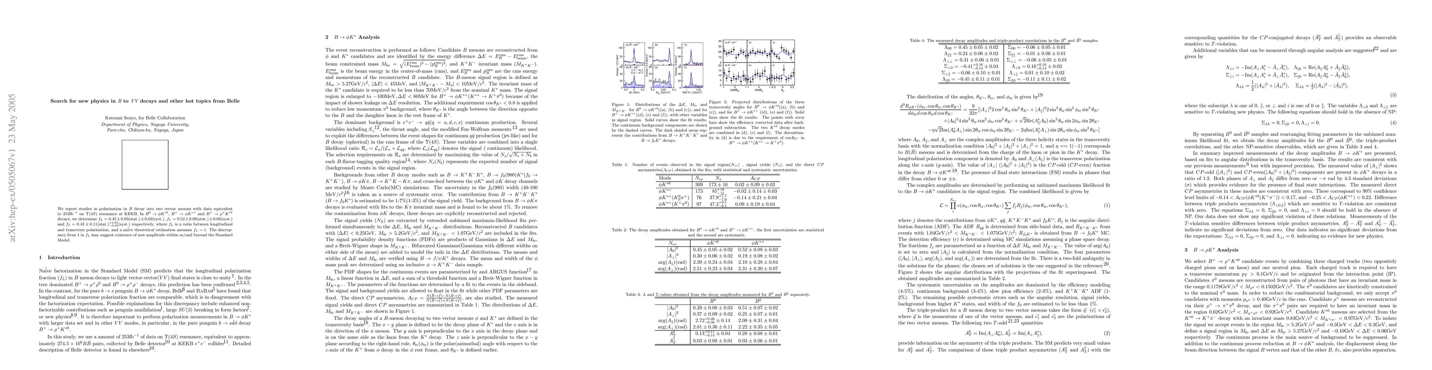 Thumbnail for Search for new physics in B -> VV decays and other hot topics from Belle