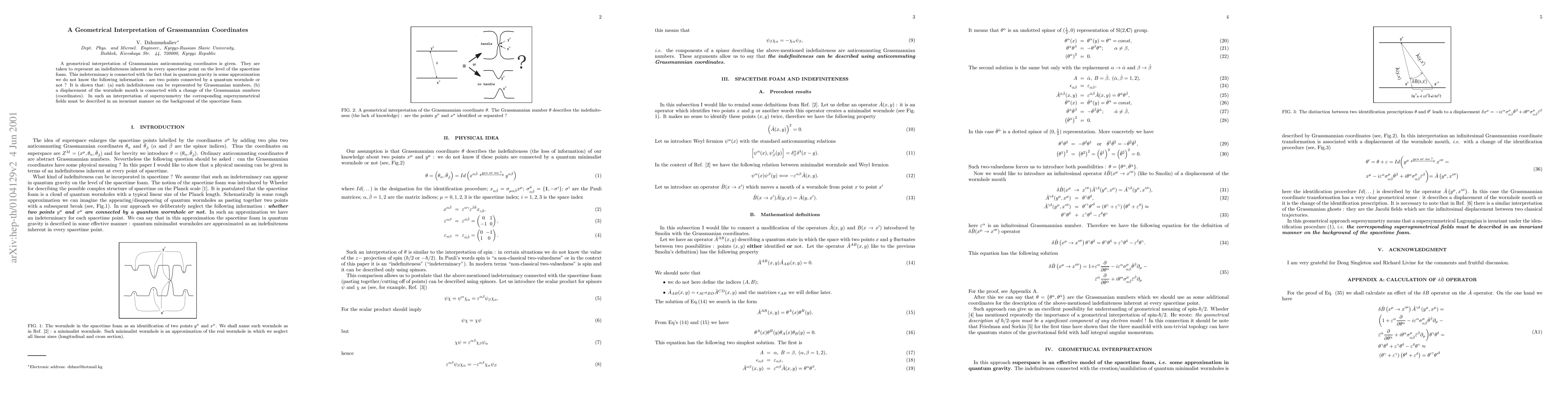 Thumbnail for A Geometrical Interpretation of Grassmannian Coordinates