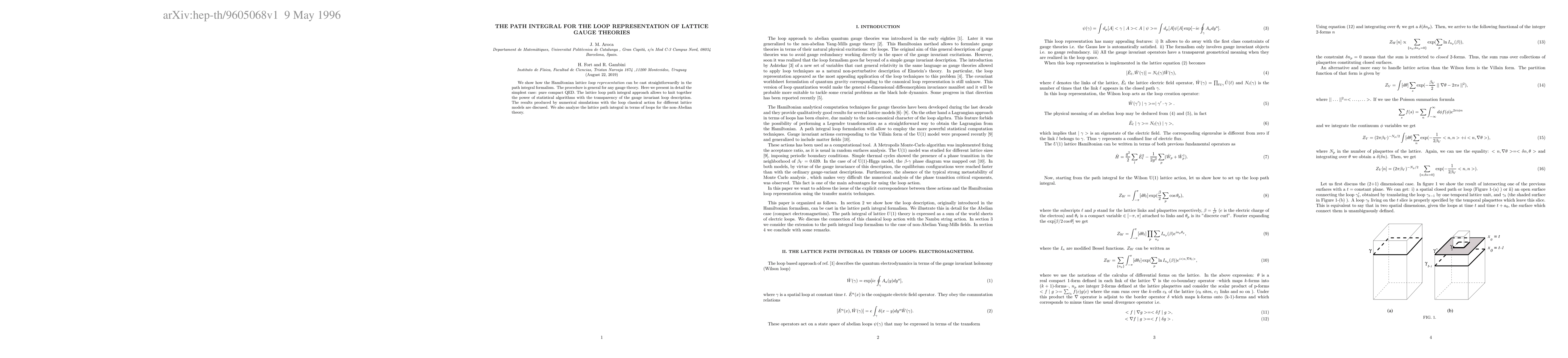Thumbnail for The Path Integral for the Loop Representation of Lattice Gauge Theories