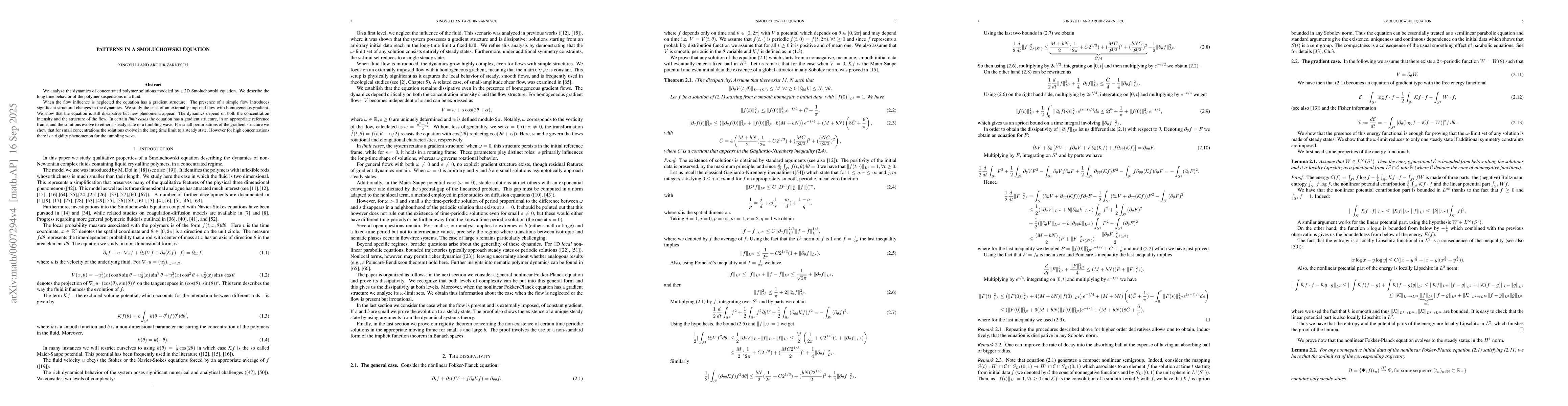 Thumbnail for Patterns in a Smoluchowski Equation