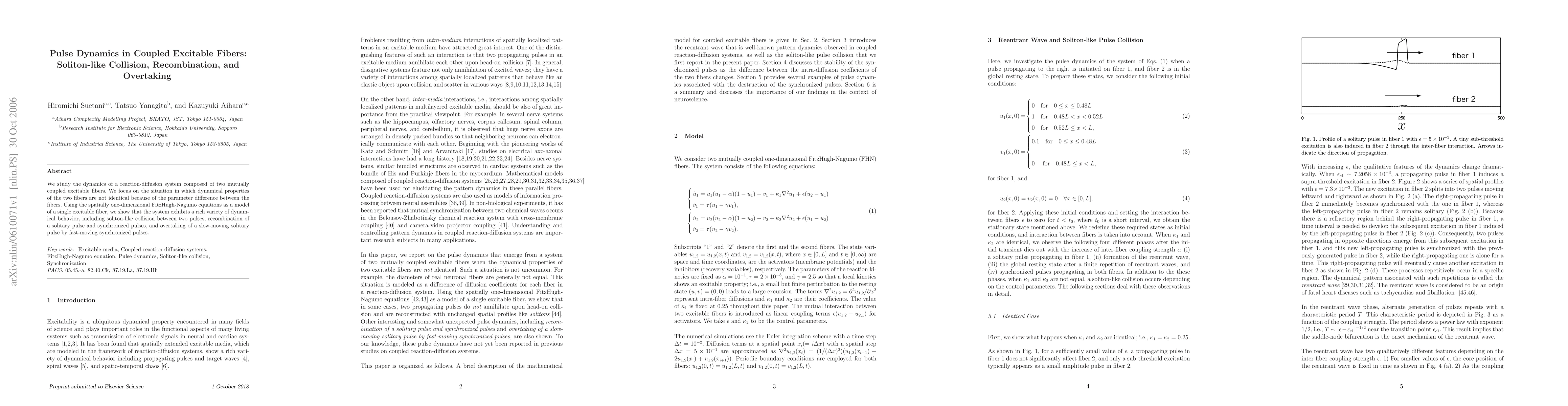 Thumbnail for Pulse Dynamics in Coupled Excitable FIbers: Soliton-like Collision,
  Recombination, and Overtaking
