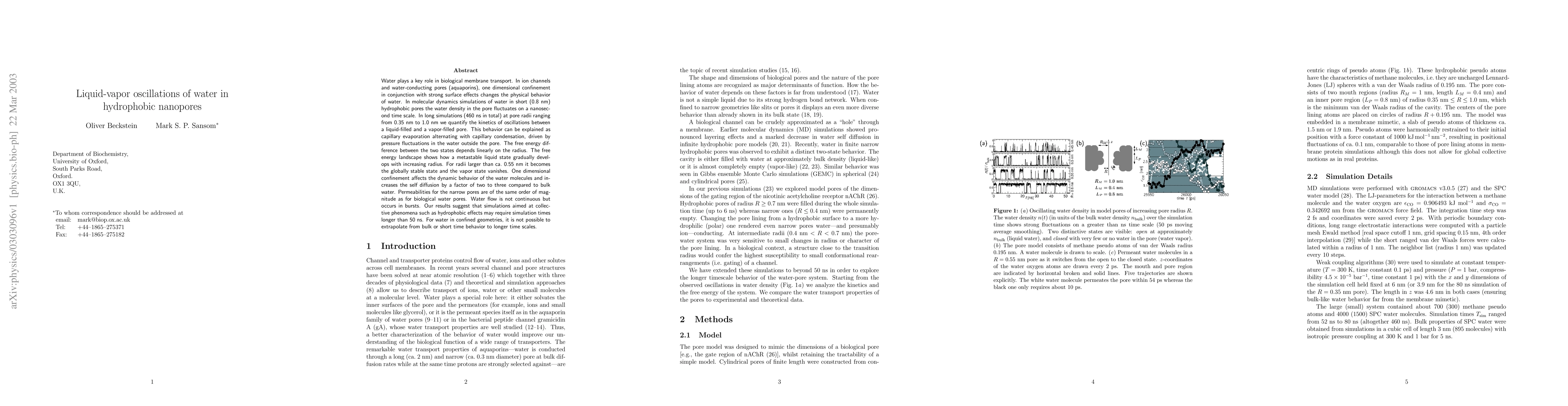 Thumbnail for Liquid-vapor oscillations of water in hydrophobic nanopores