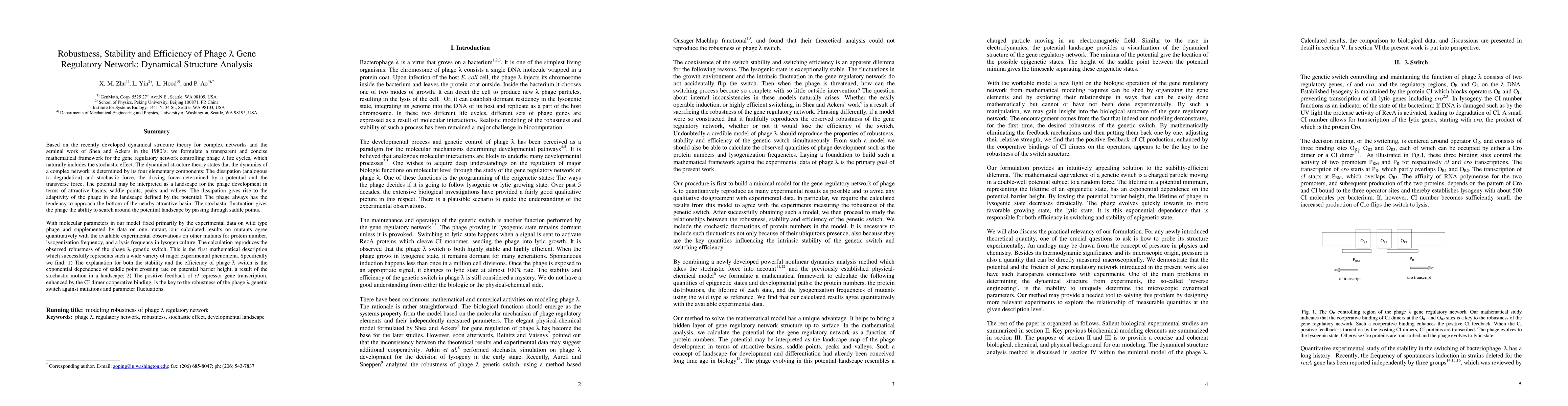 Thumbnail for Robustness, Stability and Efficiency of Phage lambda Gene Regulatory Network: Dynamical Structure Analysis