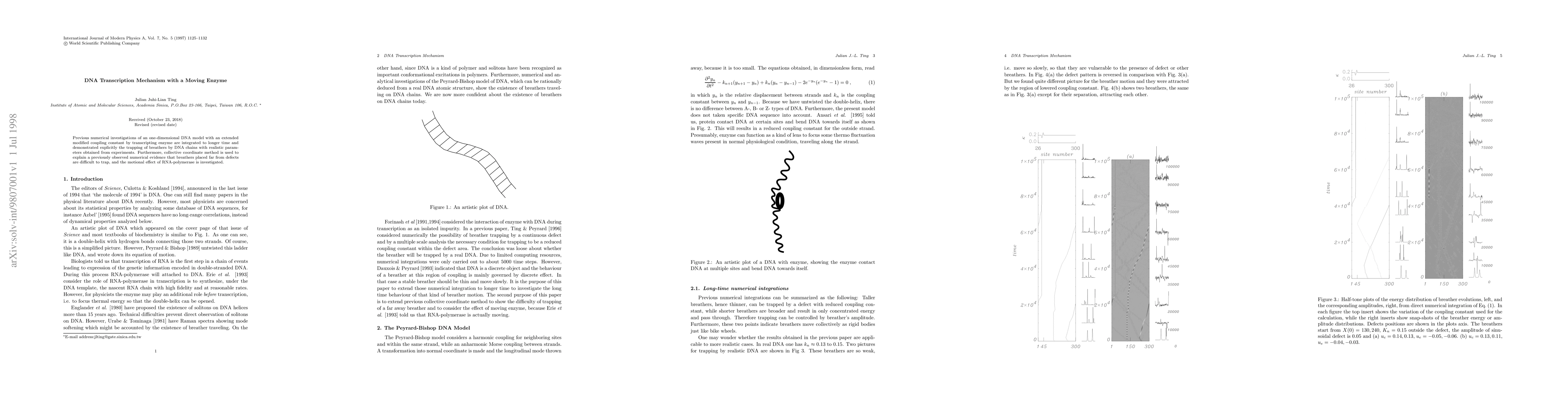 Thumbnail for DNA Transcription Mechanism with a Moving Enzyme