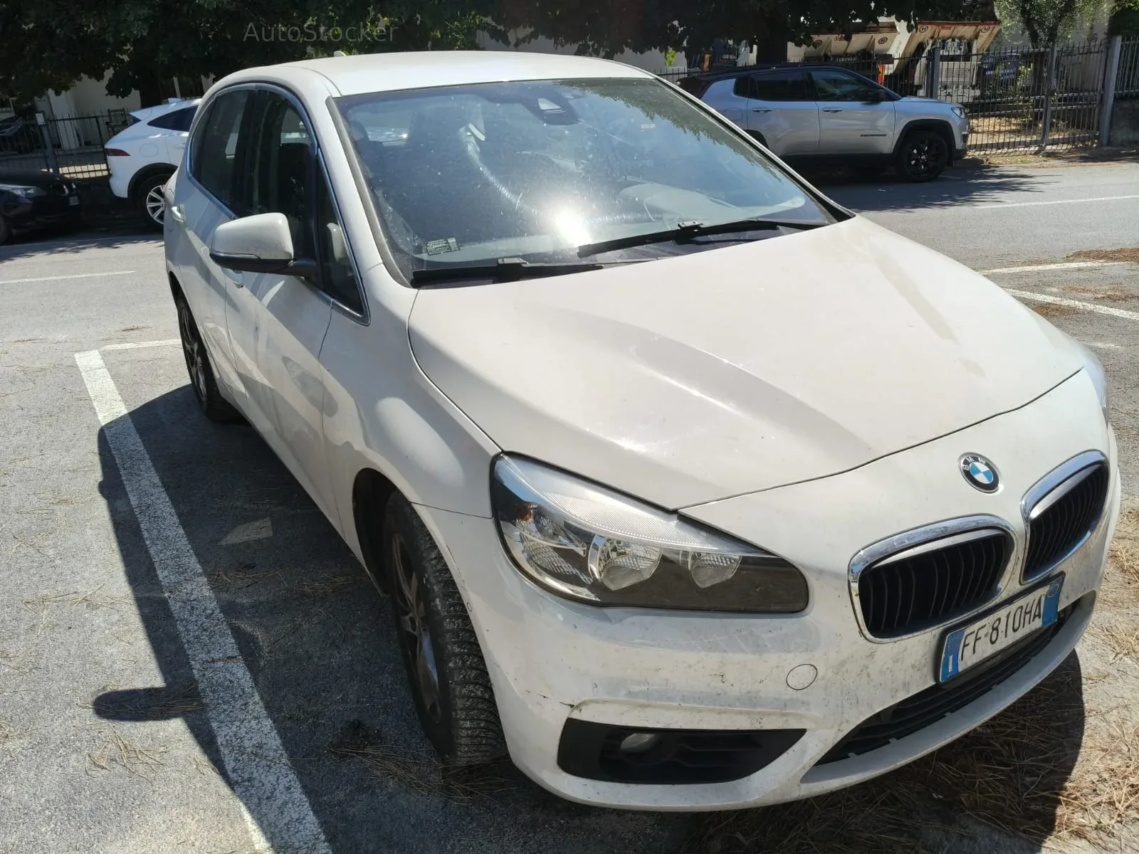 BMW 214 (2016) 3