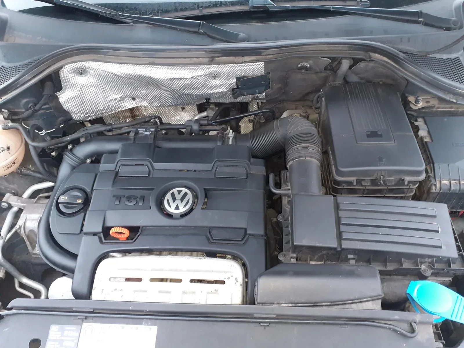 Volkswagen Tiguan (2011) 13