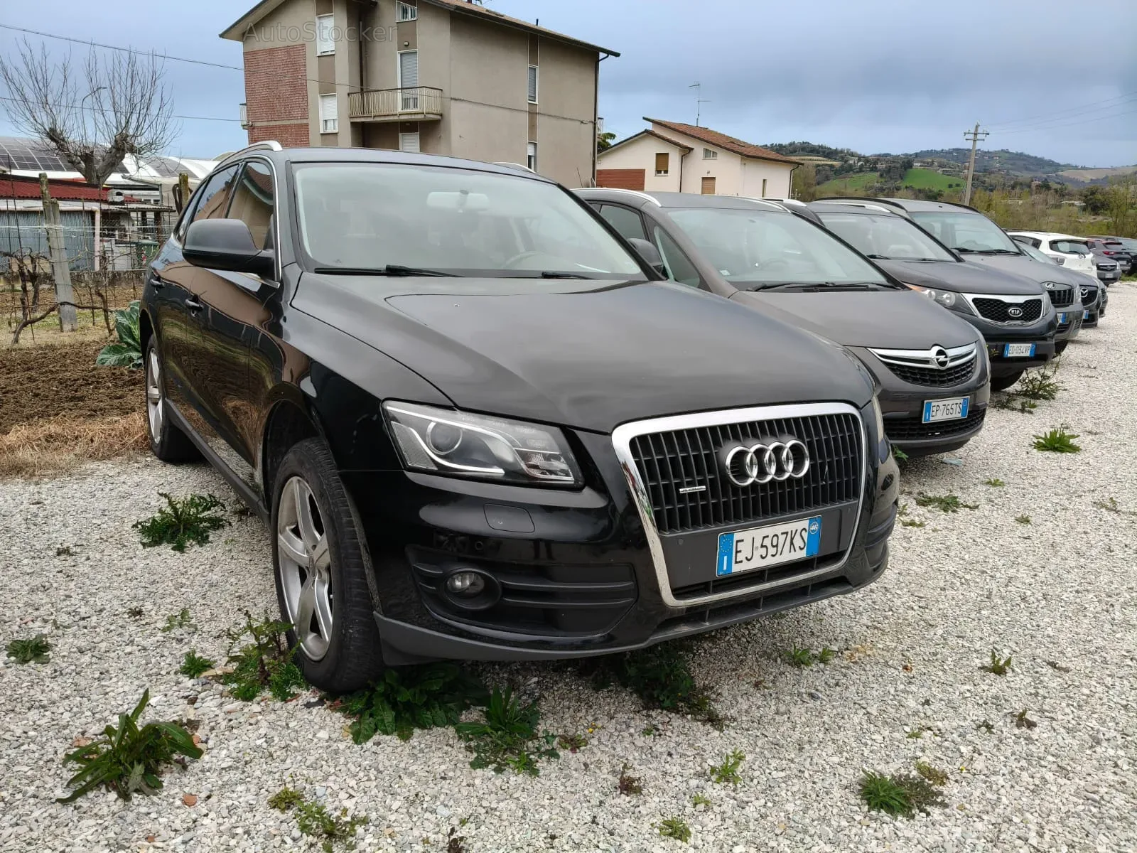 Audi Q5 (2011) 2