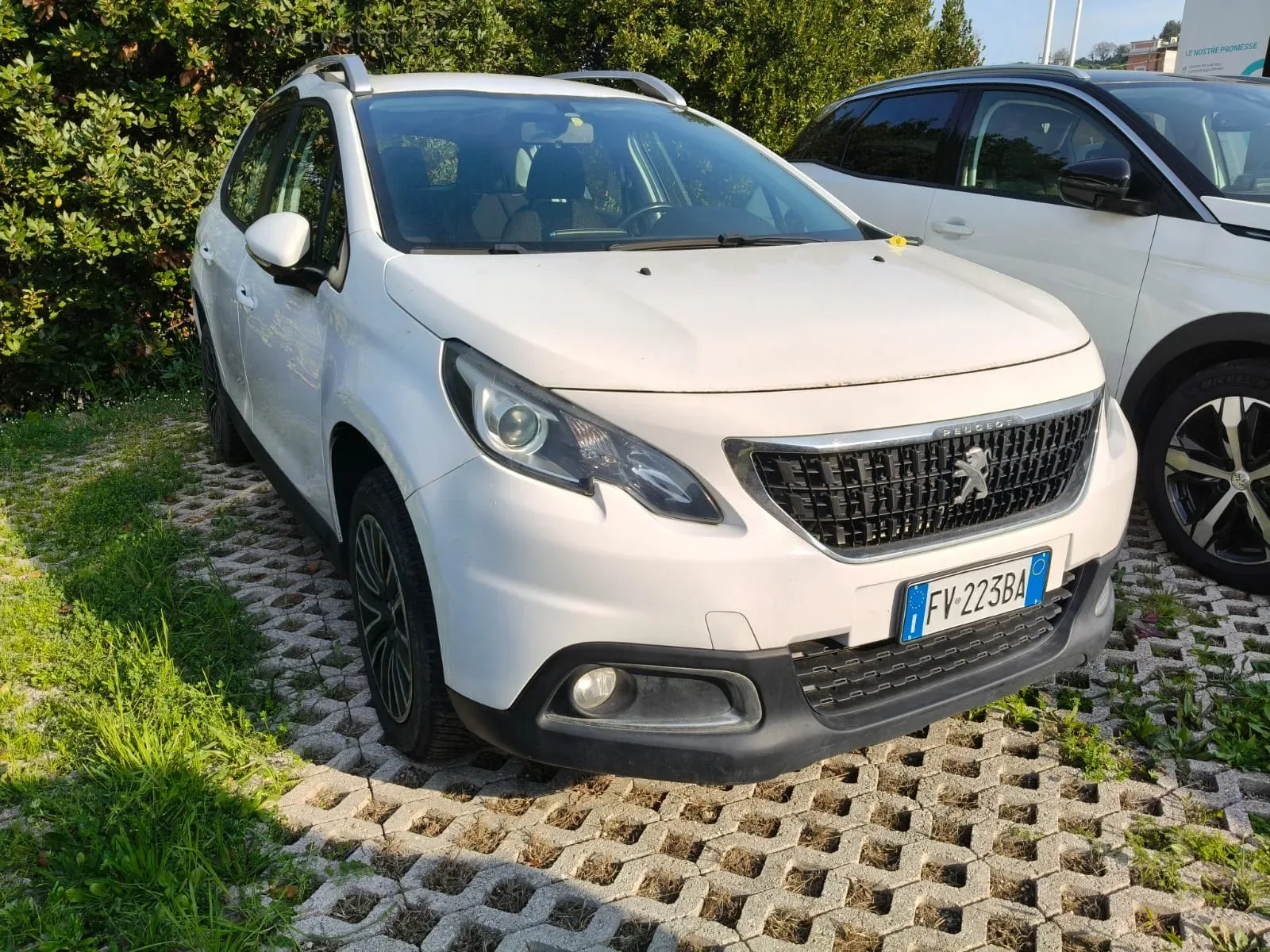 Peugeot 2008 (2019) 2