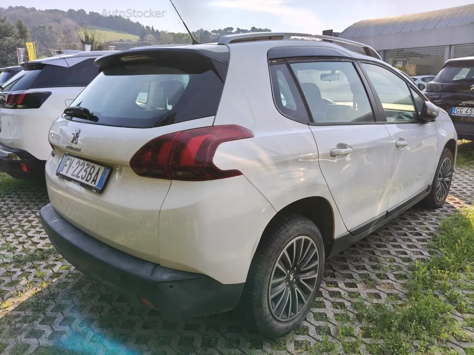 Peugeot 2008 (2019) 4