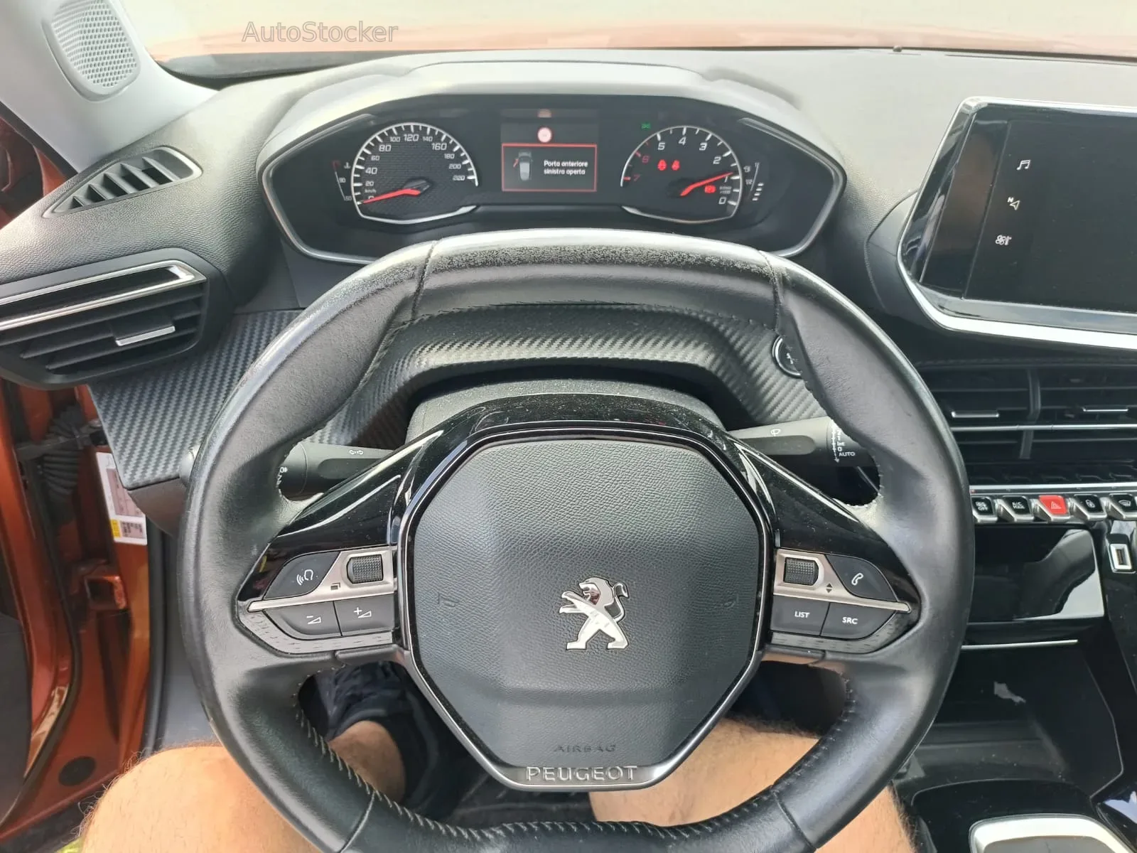 Peugeot 2008 (2021) 12
